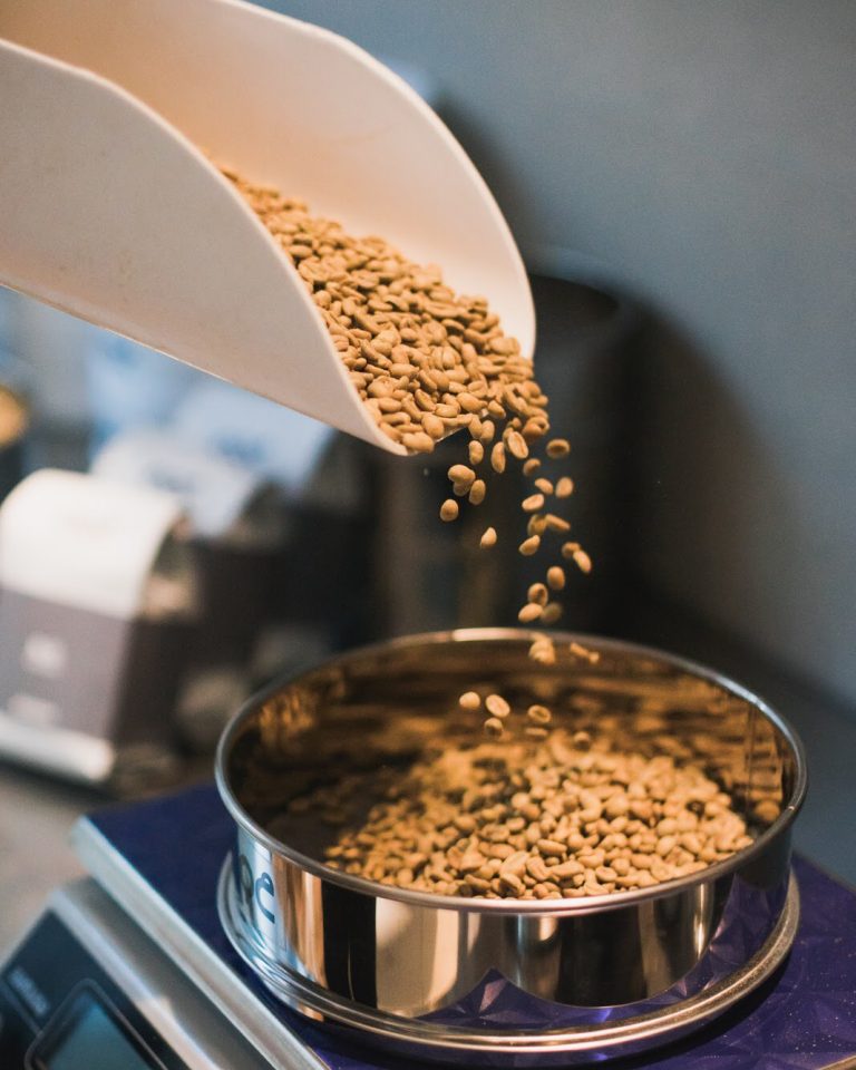 Arabica vs. Robusta: Everything You Need To Know