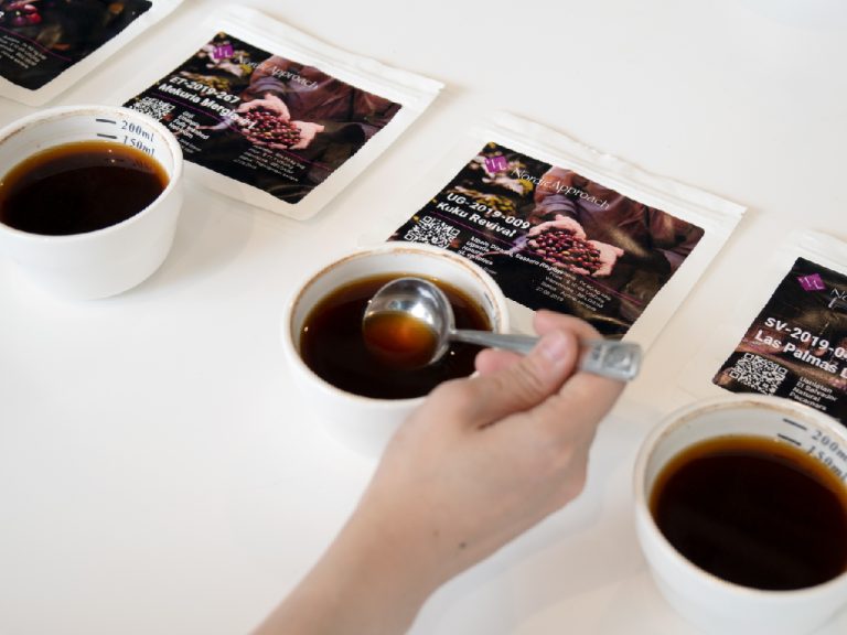 Curating Coffee with Nordic Approach